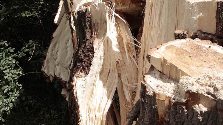 Foto: Josef Hofbauer