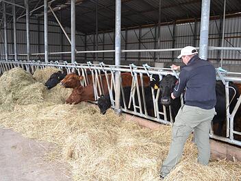 Rainer Schauer bei seinen Angus-Rindern. Seine Kunden wissen diese Transparenz zu sch&auml;tzen.Niklas Schmitt