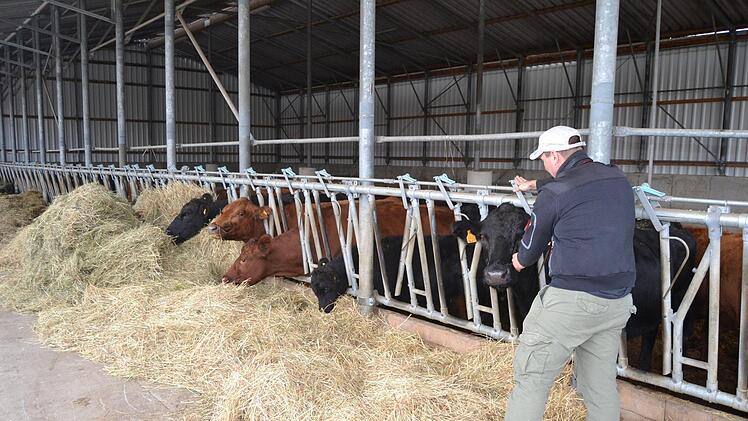 Rainer Schauer bei seinen Angus-Rindern. Seine Kunden wissen diese Transparenz zu schätzen.Niklas Schmitt
