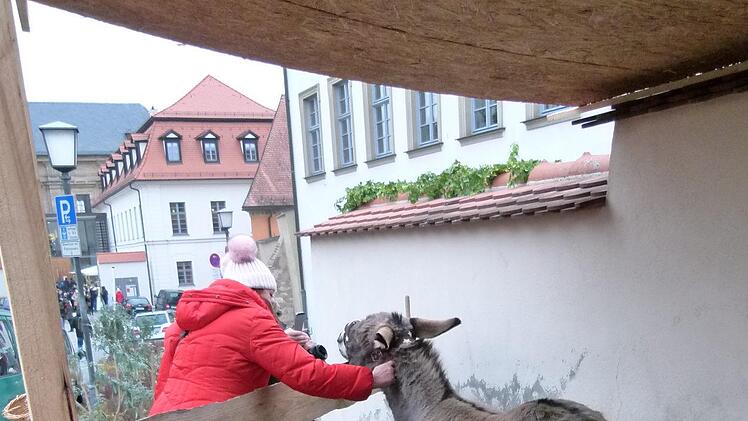 Lebendige Krippe Foto: Marion Krüger-Hundrup