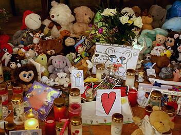 Fall Fabian in "Aktenzeichen XY..."