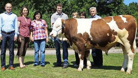 Neben der strahlenden Familie von Georg Schwarz zu sehen sind der Zuchtleiter des Rinderzuchtverbands Franken, Wolfgang Holzinger (l.) und Andrea Hefner, zuständig für Tierzucht und Export beim Besamungsverein Neustadt an der Aisch (Zweite von links). Foto: Reiner Gundel