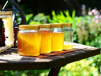 So gesund ist Honig wirklich! - Ein Imker und Mediziner erklärt, was so gesund an Bienenhonig ist. Symbolbild: pixabay.com/PollyDot
