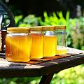 So gesund ist Honig wirklich! - Ein Imker und Mediziner erklärt, was so gesund an Bienenhonig ist. Symbolbild: pixabay.com/PollyDot