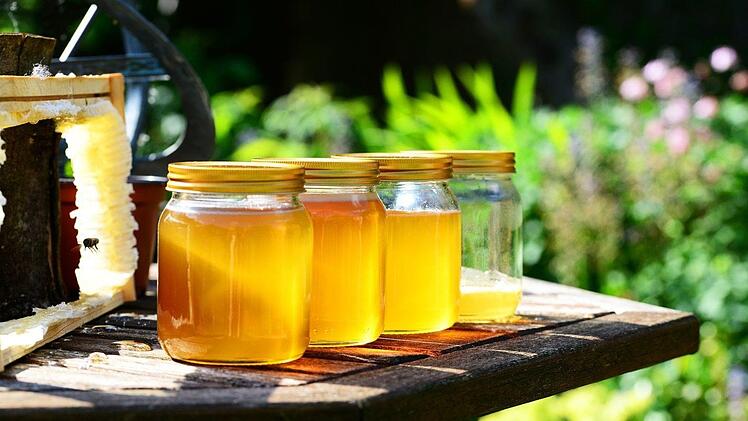 So gesund ist Honig wirklich! - Ein Imker und Mediziner erklärt, was so gesund an Bienenhonig ist. Symbolbild: pixabay.com/PollyDot