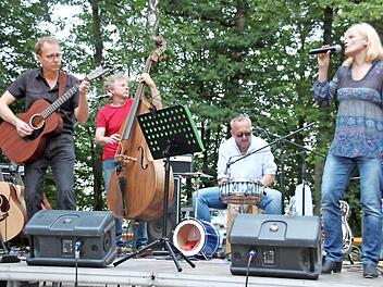 Die Gruppe "Anni & Greg Trio feat. Friends" mit (von links) Gregor Zech, Robert Maier, Andi Winterling und Anja Jungkuntz liebt die Töne. Davon können sich die Besucher am 28. Dezember in der "Kommunbräu" überzeugen. Foto: Stephan Stöckel