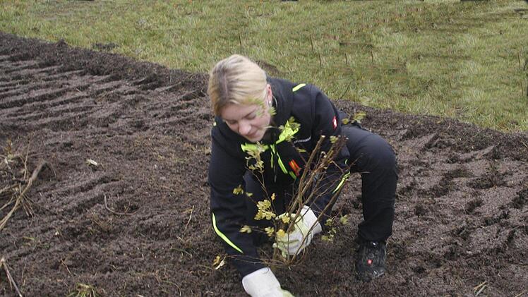 Unter fachkundiger Anleitung pflanzte die 16-jährige Sofia Jähnel Sträucher  an. Zusammen mit ihren Mitschülern legte sie eine Hecke an. Foto: Martin Rebhan
