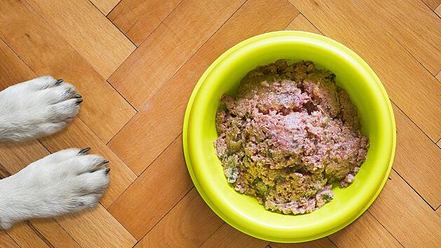 Welche Nassfutter wurden Testsieger?