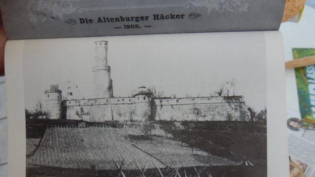 Von Wein- und Obstgärten umgeben: So sah die Altenburg um die Wende zum 20. Jahrhundert aus.