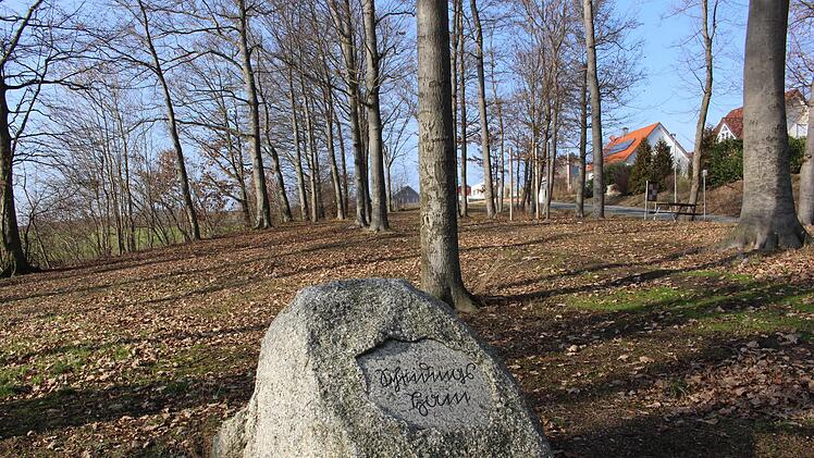 Der historisch bedeutsame Scheidingshain auf der Lutherhöhe soll neu gestaltet werden.   Foto: Evi Seeger