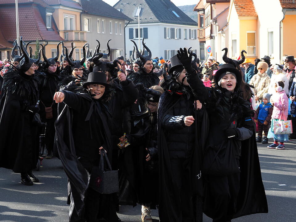 Wildes Faschingstreiben in Steinach an der Saale.