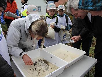 Mit professioneller Hilfe untersuchten die Kinder das Wasser der Brettig auf seine Qualität und beobachteten die darin lebenden Tierchen. Fotos: Mathias Erlwein