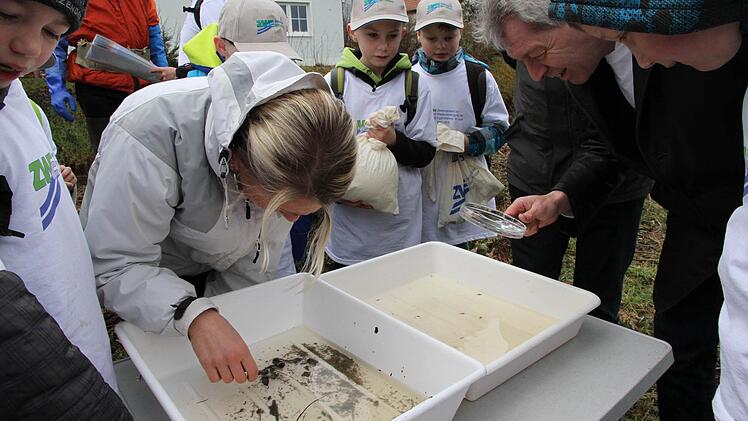 Mit professioneller Hilfe untersuchten die Kinder das Wasser der Brettig auf seine Qualität und beobachteten die darin lebenden Tierchen. Fotos: Mathias Erlwein