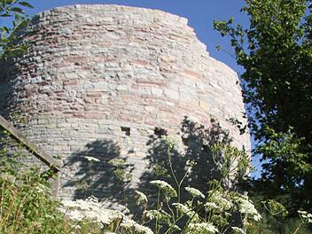 In den vergangenen Wochen ist die Nordeck regelrecht zugewuchert, jetzt hat der Bauhof einen Weg gemäht, eine Bank aufgestellt, und der Fränkische Stammtisch hat Unkraut entfernt. Fotos: Sonja Adam