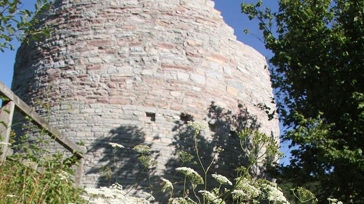 In den vergangenen Wochen ist die Nordeck regelrecht zugewuchert, jetzt hat der Bauhof einen Weg gemäht, eine Bank aufgestellt, und der Fränkische Stammtisch hat Unkraut entfernt. Fotos: Sonja Adam