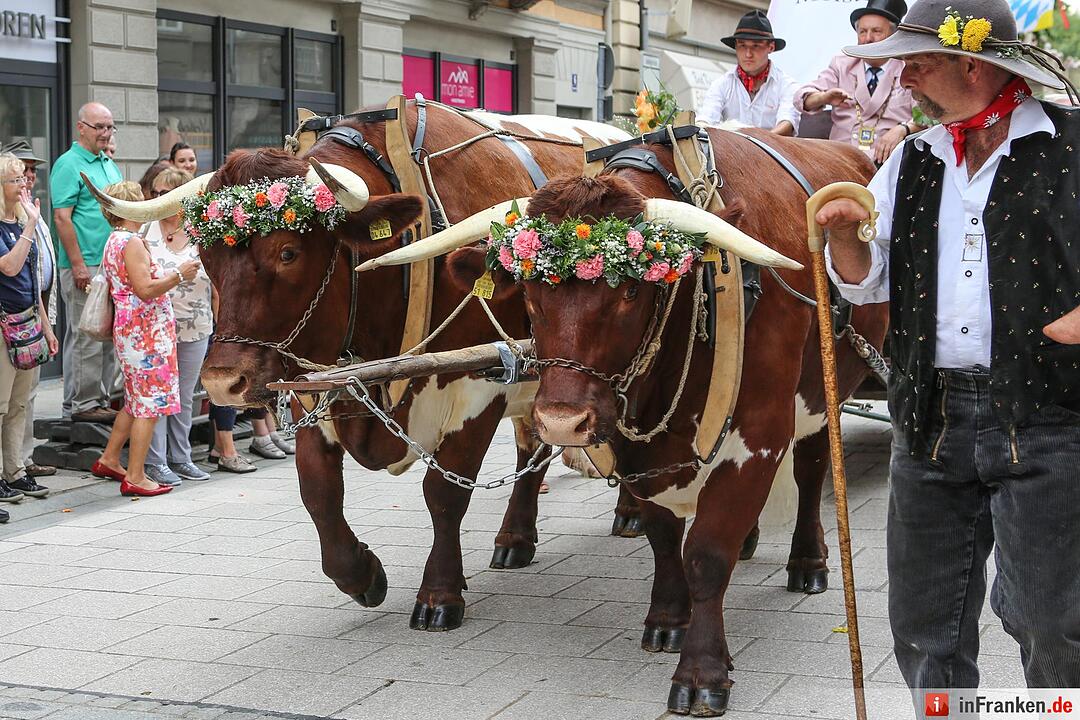 Der Rakoczy-Fest-Sonntag 2016 in Bildern