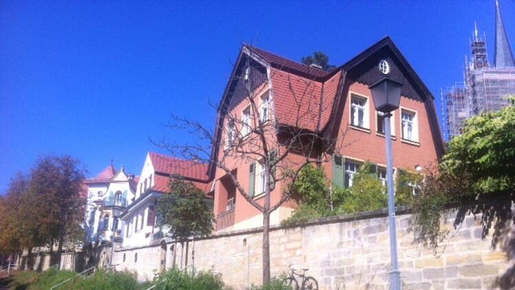 Dieser Baum am Michelsberg hat die  Blätter bereits abgeworfen. Foto: Stadt Bamberg