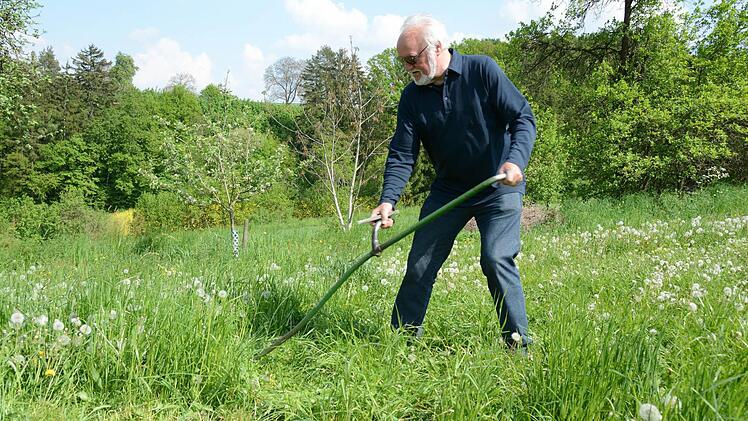 Seine Wiesen mäht Josef Schröder ausschließlich mit der gut geschärften Sense. Foto: Dagmar Besand