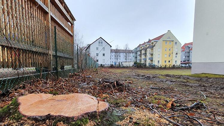 Die Wohnungsbaugenossenschaft gibt zu, die Bäume "frühzeitig" gefällt zu haben. Aber für die Fällungen habe es Gründe gegeben. Foto: R. Heck