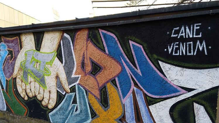 Spraykunst am Lohgraben in CoburgFoto: Jochen Berger