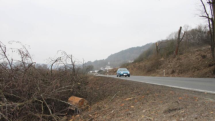 Februar 2017: Entlang der B 289 werden zwischen Untersteinach und Kauerndorf viele Bäume gefällt.Archiv/Alexander Hartmann