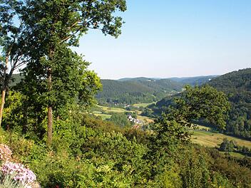 Das Flora-Faune-Habitat "Wiesenttal mit Seitentälern" zeichnet sich durch außergewöhnlichen Artenreichtum aus.  Foto: Josef Hofbauer