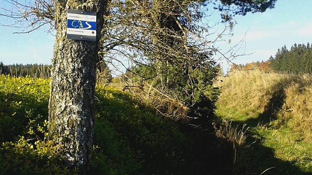 Der Frankenwald ist Bayerns erste und bundesweit die zweite Region, die als Qualit&auml;tsregion "Wanderbares Deutschland" zertifiziert wurde. Dieser Trumpf soll in Zukunft ausgespielt werden. Foto: Christine Fischer