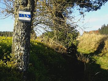 Der Frankenwald ist Bayerns erste und bundesweit die zweite Region, die als Qualitätsregion "Wanderbares Deutschland" zertifiziert wurde. Dieser Trumpf soll in Zukunft ausgespielt werden. Foto: Christine Fischer