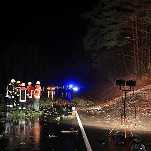 Vorsätzlich angesägt: 18 Meter Stamm liegt plötzlich auf der Straße