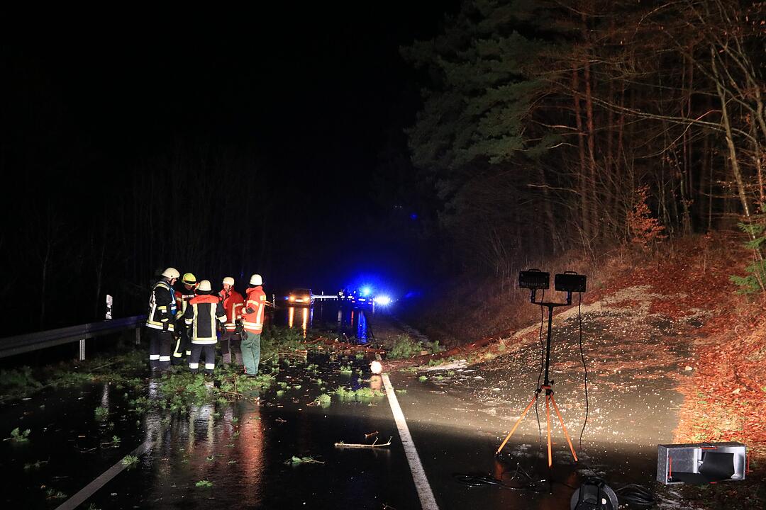 Vorsätzlich angesägt: 18 Meter Stamm liegt plötzlich auf der Straße