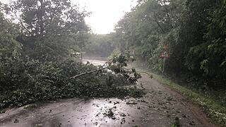Bamberg: Unwetter hinterlassen massive Schäden