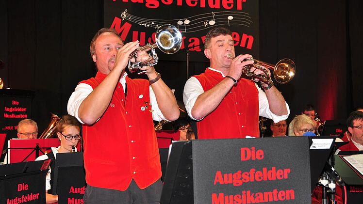 Die beiden Trompeter Werner Rottmann und Werner Rügheimer (von links) glänzten als Solisten mit dem Slow-Rock "Trumpet Hearts". Foto Ulrike Langer