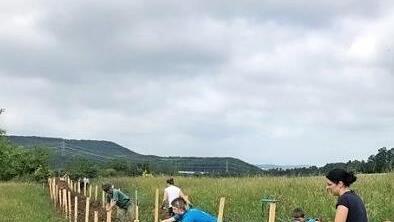 Zuerst wurden St&uuml;tzpfosten errichtet, die den Verlauf der Hecke anzeigen.  Fotos: Stefan Schulze