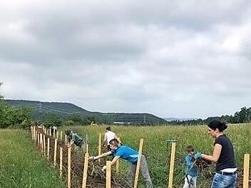 Zuerst wurden St&uuml;tzpfosten errichtet, die den Verlauf der Hecke anzeigen.  Fotos: Stefan Schulze