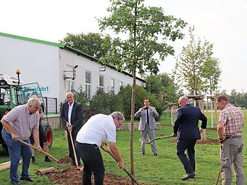Thomas Bellew (Zweiter von rechts), Erster Botschaftssekretär der irischen Botschaft in Berlin, pflanzte mit (von links) Christian Wennmacher, Bürgermeister Gerald Brehm und Bernd Ehrlicher hinter der Fortuna eine Stieleiche als ein Zeichen der Beständigkeit der Partnerschaft zwischen Castlebar und Höchstadt; hinten fotografiert Ilias Ben Mna, rechts ist Gärtner Hermann Zehn vom Höchstadter Bauamt. Foto: Johanna Blum