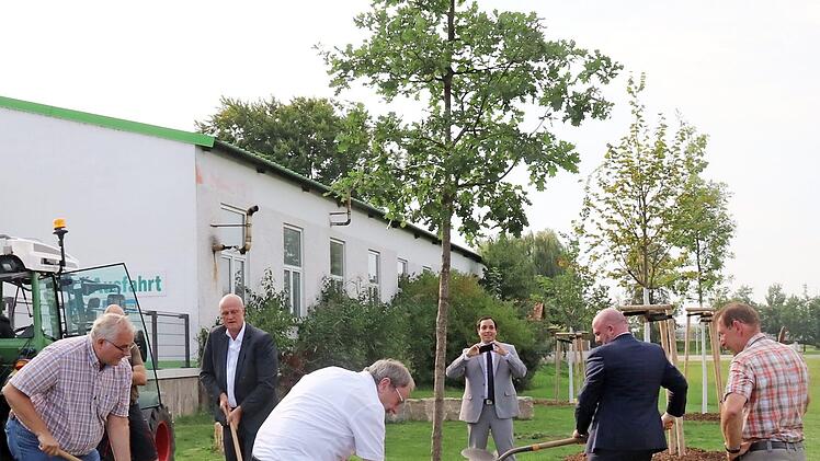 Thomas Bellew (Zweiter von rechts), Erster Botschaftssekretär der irischen Botschaft in Berlin, pflanzte mit (von links) Christian Wennmacher, Bürgermeister Gerald Brehm und Bernd Ehrlicher hinter der Fortuna eine Stieleiche als ein Zeichen der Beständigkeit der Partnerschaft zwischen Castlebar und Höchstadt; hinten fotografiert Ilias Ben Mna, rechts ist Gärtner Hermann Zehn vom Höchstadter Bauamt. Foto: Johanna Blum