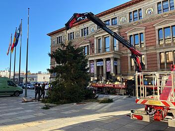 Weihnachtsbaum vor dem Abgeordnetenhaus aufgestellt