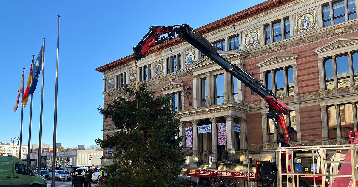Weihnachtsbaum-f-r-Abgeordnetenhaus-zerbricht-und-nun-