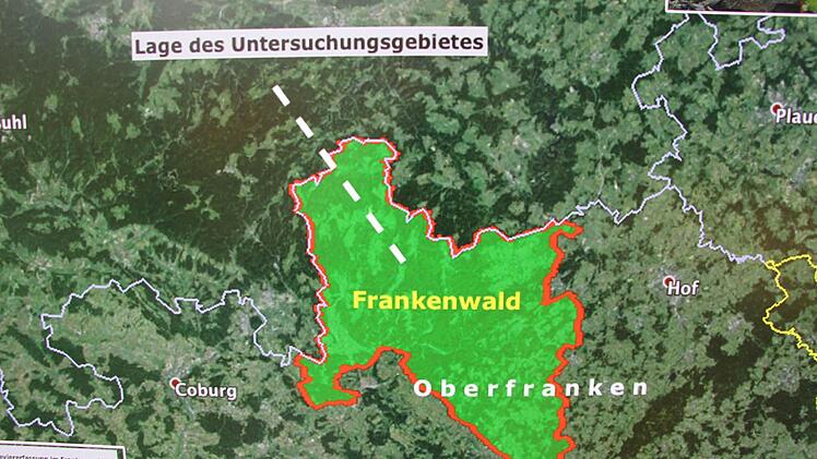 Repro: Friedwald Schedel