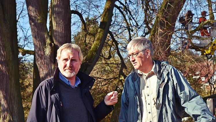 Bernhard Ledermann und Werner Pilz stehen vor der markanten Baumgruppe Siebenlinden, die in den kommenden Tagen mit einer Reihe von Pflegemaßnahmen für Zukunft gesichert wird. Foto: Gabi Arnold