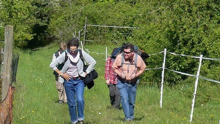 Sportliches Wandern ist im Rhönklub Hammelburg auch im nächsten Jahr eine Alternative für jüngere, leistungswillige Mitglieder.