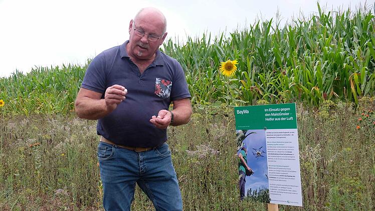 Sturmius-Landwirt Walter Zeitz schaffte Blühflächen und bekämpfte den Schädling Maiszünsler auf biologischer Basis mit Schlupfwespen, die mit Drohnen in biologisch abbaubaren Kapseln abgeworfen wurden. Foto: Gerd Schaar