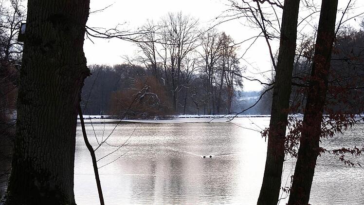 Winterimpressionen: Schwanenensee im Park von Schloss Rosenau.Foto: Jochen Berger