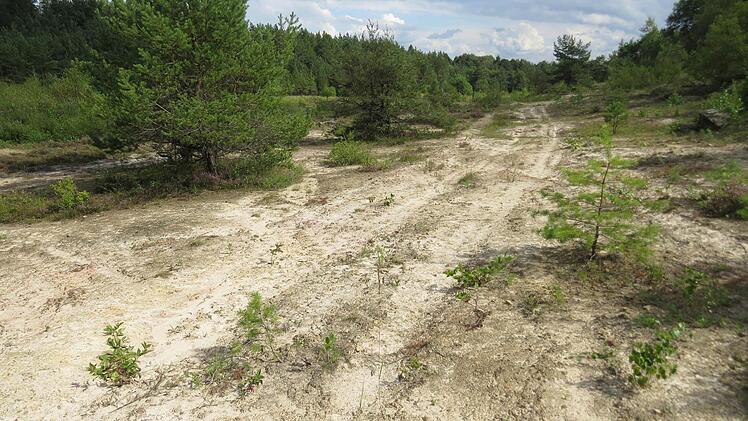 Foto: Stephan Neumann