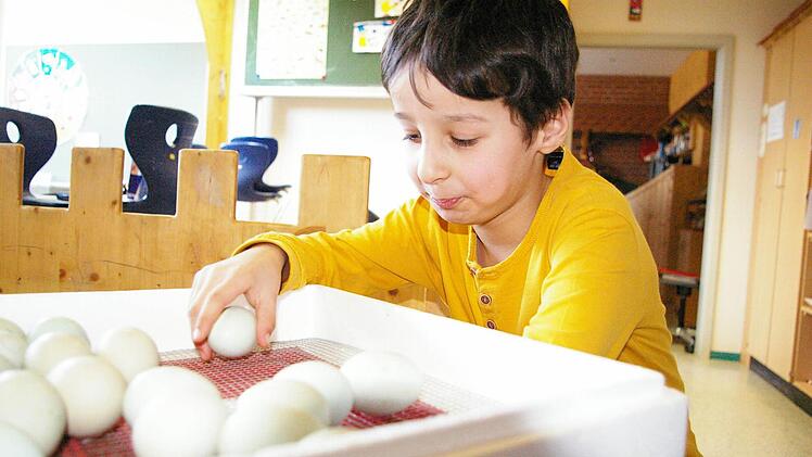 Alp Saygilly kümmert sich um die Eier Foto: privat