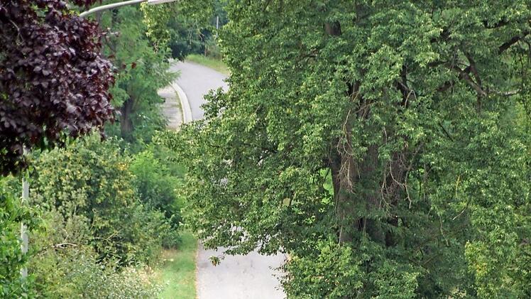 Eine Brücke über die Rauhe Ebrach verbindet Untersteinbach mit dem Gelände des Schützenhauses. Laut Bürgermeister lässt die geplante Sanierung wohl noch weiter auf sich warten.  Foto: Sabine Weinbeer/Archiv