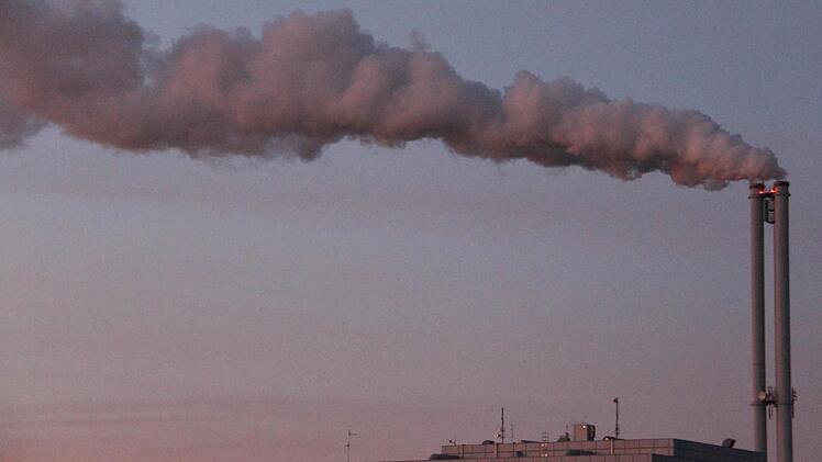 Das Müllheizkraftwerk in Neuses.