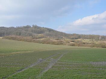 Die mit Hecken und Streuobstbeständen reich gegliederte Landschaft am Fuß des Georgenbergs gehört der Wildland GmbH und wird vom LPV gepflegt. Foto: Rainer Lutz