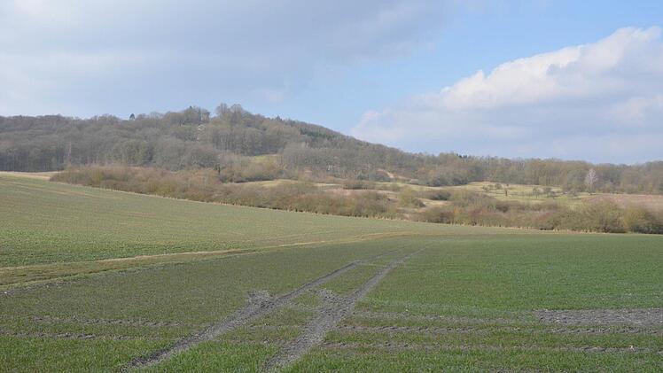 Die mit Hecken und Streuobstbeständen reich gegliederte Landschaft am Fuß des Georgenbergs gehört der Wildland GmbH und wird vom LPV gepflegt. Foto: Rainer Lutz