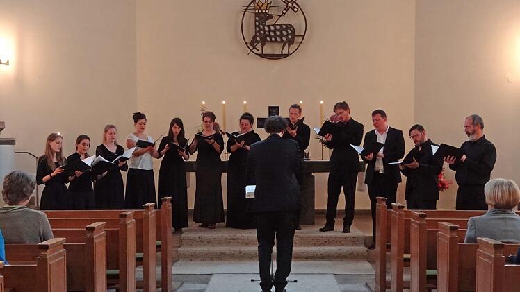 15 junge Sängerinnen und Sänger aus Budapest traten am Sonntagabend in der Christuskirche in Ebern auf.  Foto: Johanna Eckert